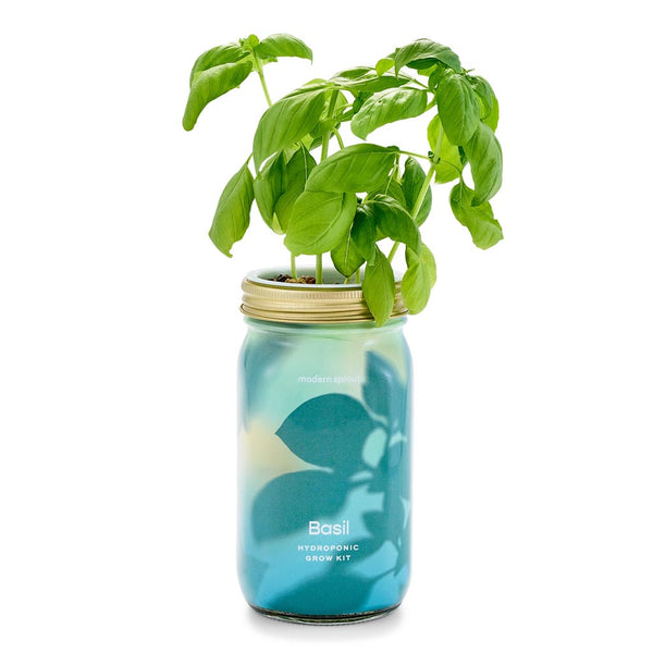 Herb Garden Jar Planter Kits