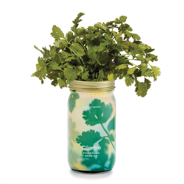 Herb Garden Jar Planter Kits