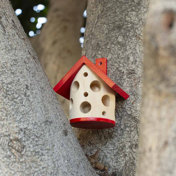 Ladybug House