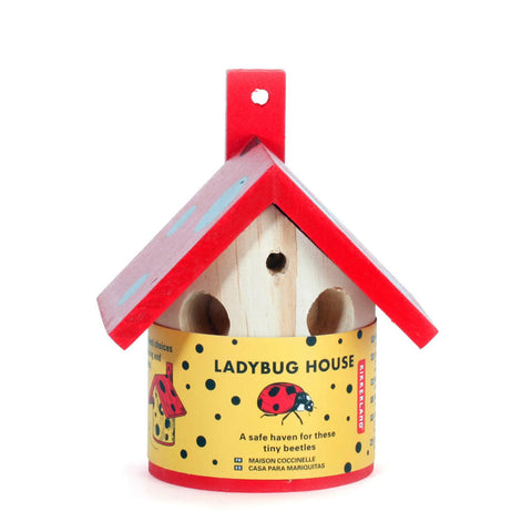 Ladybug House