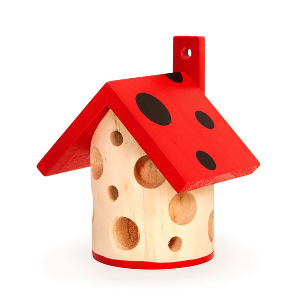 Ladybug House