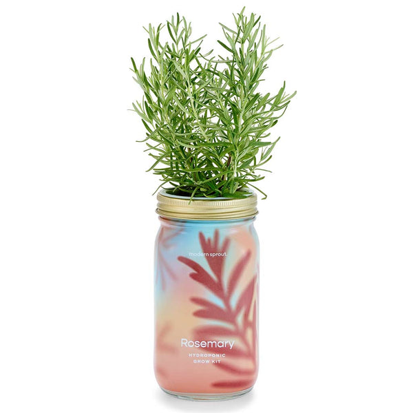 Herb Garden Jar Planter Kits