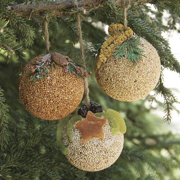 Fruit Ball Ornaments