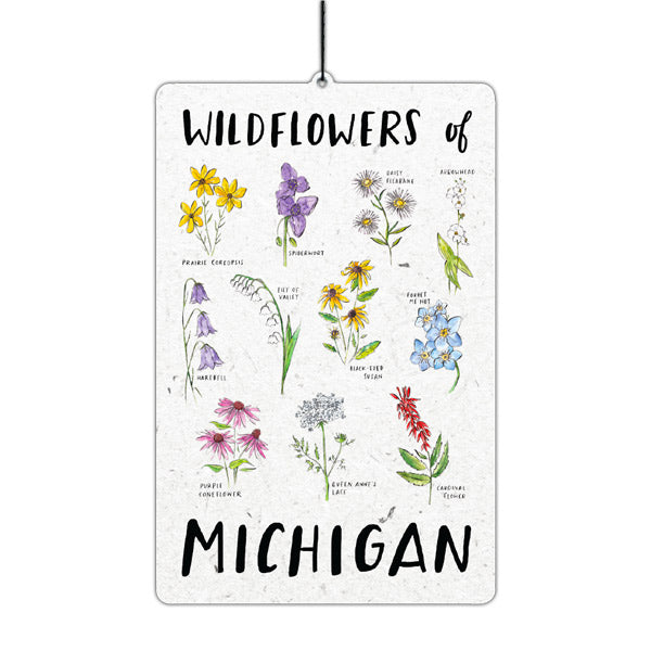 Michigan Air Freshener