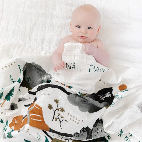 National Parks Swaddle